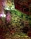 u0000424.jpg